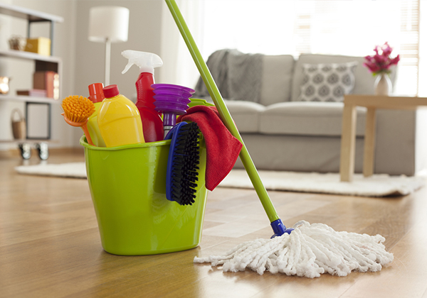 Cleaning Materials for domestic cleaning