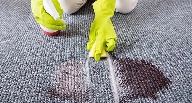 Crime scene cleaning of blood on carpet